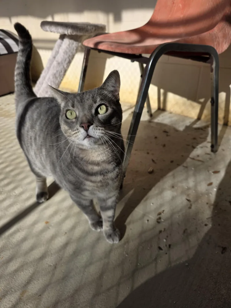 Mykos Sponsored thumbnail 3