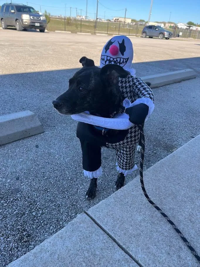 Little Bit thumbnail 2