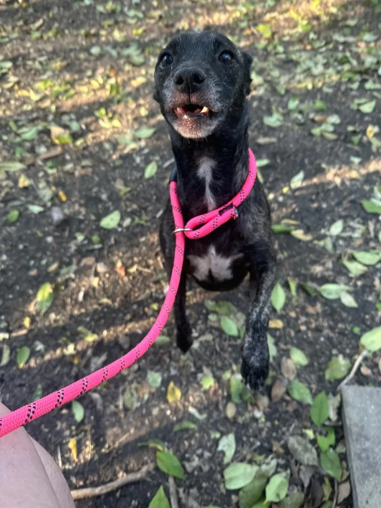 Little Bit thumbnail 3