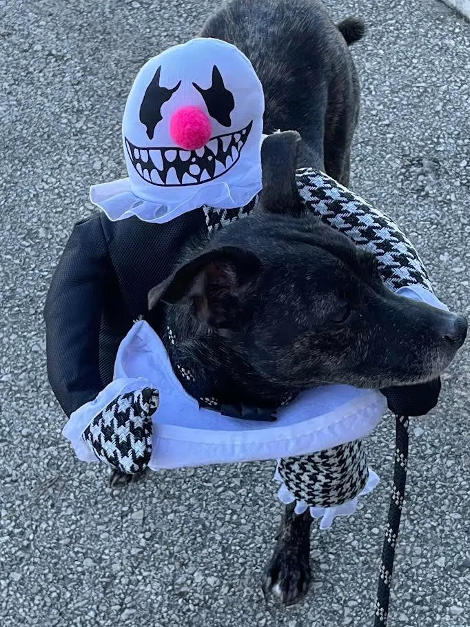 Little Bit thumbnail 4