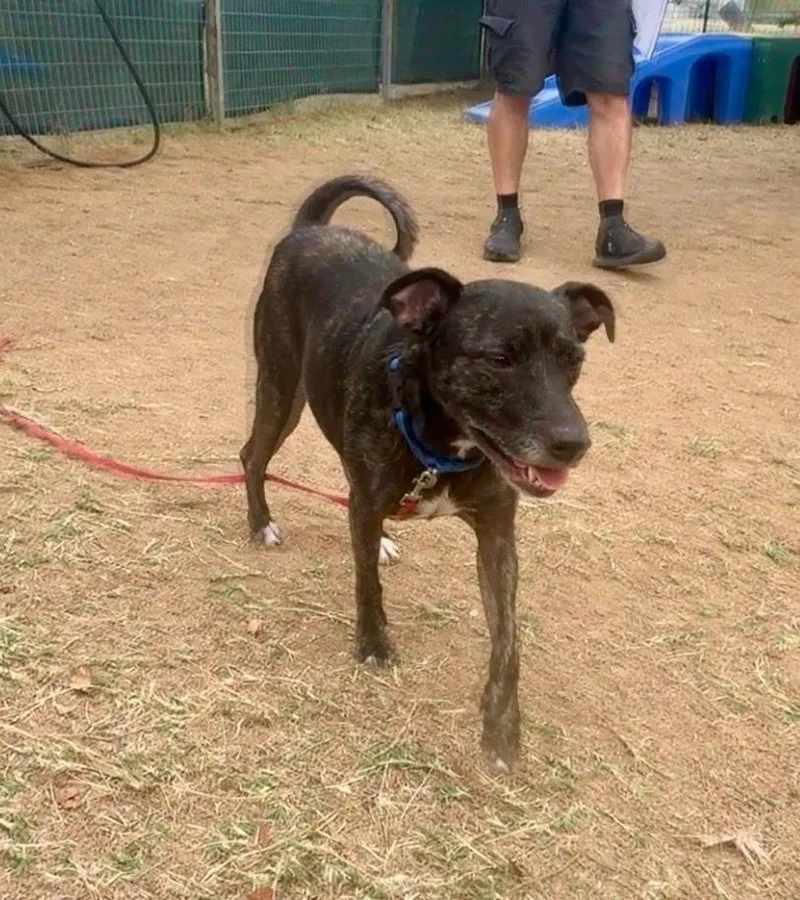 Little Bit thumbnail 6