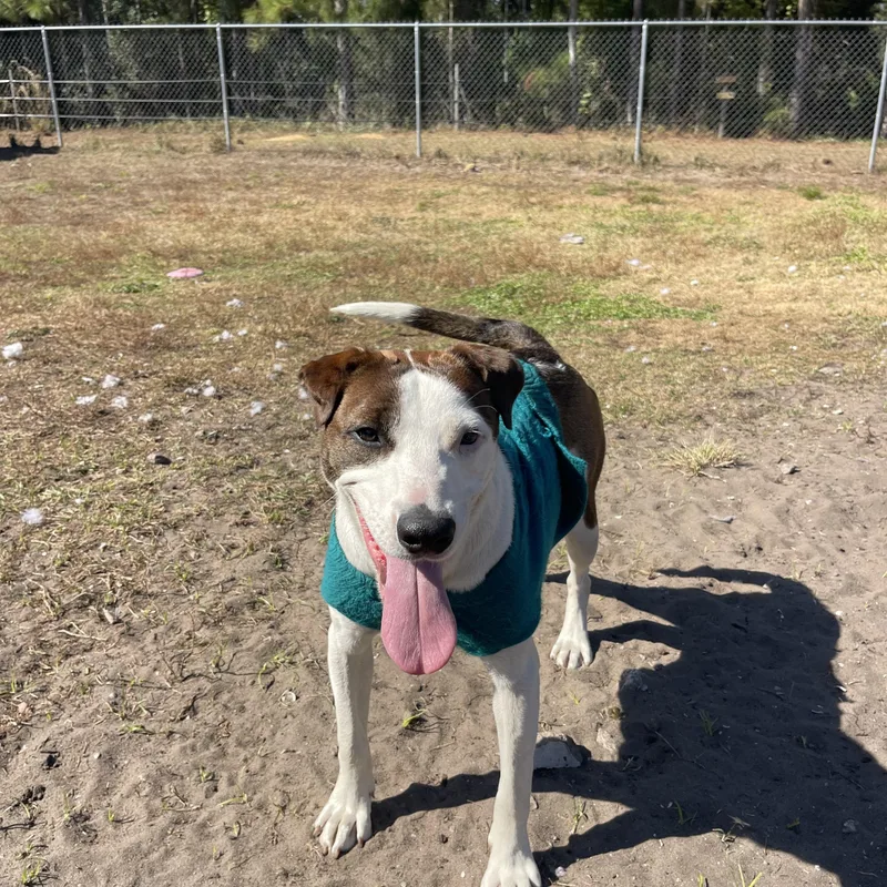 S’more thumbnail 2