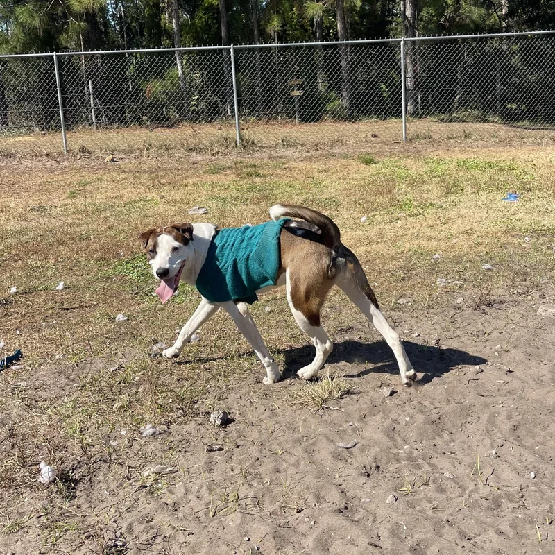 S’more thumbnail 3