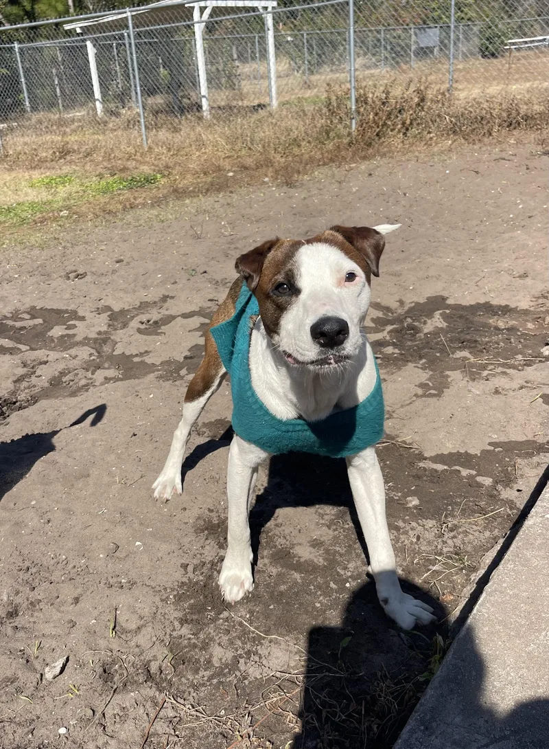 S’more thumbnail 4