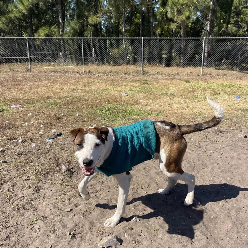 S’more thumbnail 5