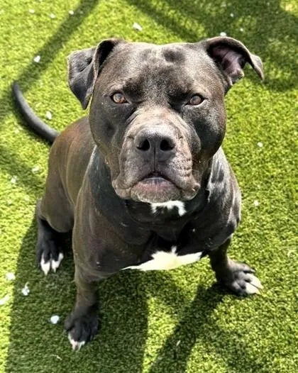 Habanero thumbnail 2