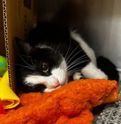 Bass Pro thumbnail 2