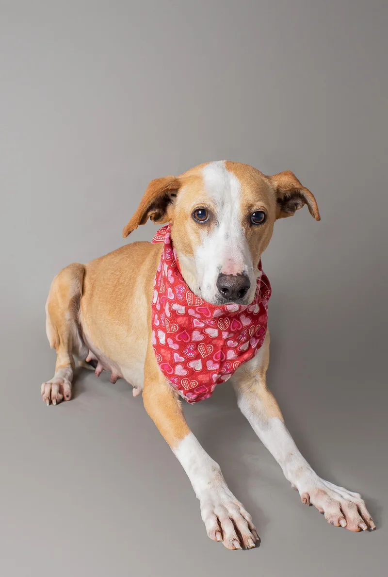 Wrenley Jane thumbnail 2