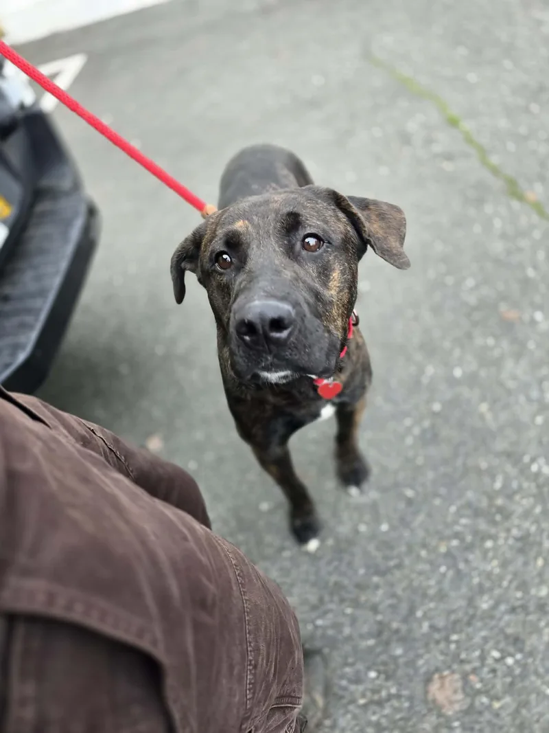 Twigglet thumbnail 2