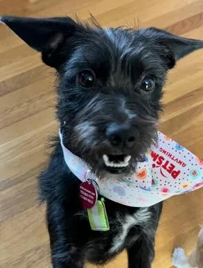 Lulu Lemon thumbnail 2