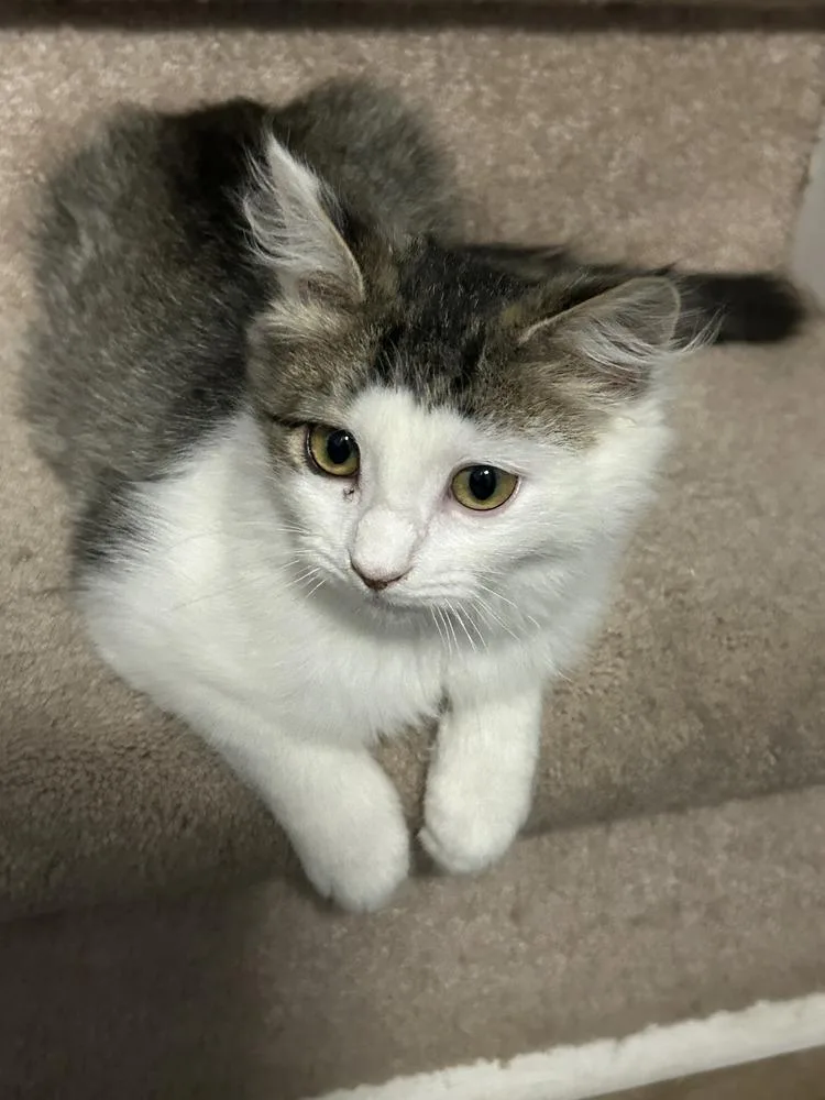 Princess Peach thumbnail 2