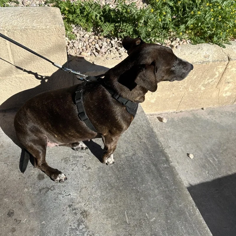 Mary Jane thumbnail 3