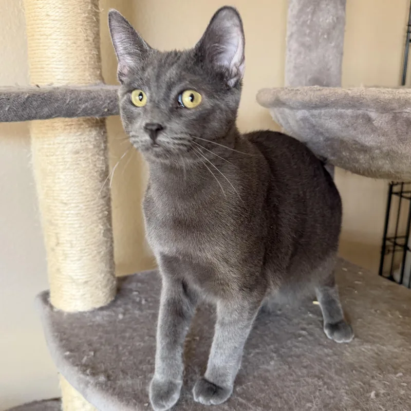 Christina’s Cute Boy thumbnail 2