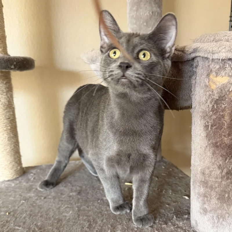 Christina’s Cute Boy thumbnail 3