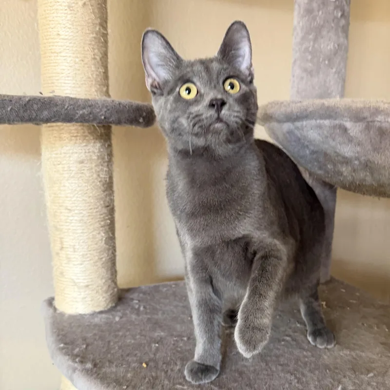 Christina’s Cute Boy thumbnail 4