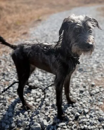 George Costanza thumbnail 2