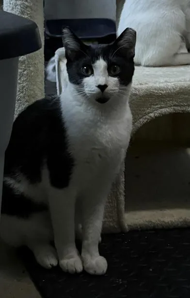 Patience thumbnail 2