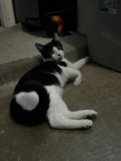 Patience thumbnail 3