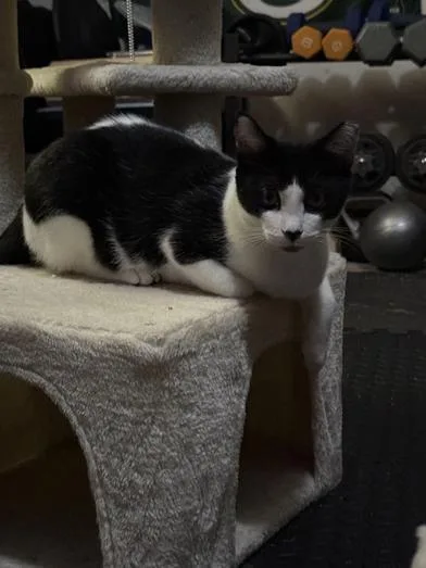 Patience thumbnail 4