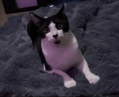 Patience thumbnail 5