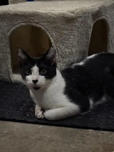 Patience thumbnail 6