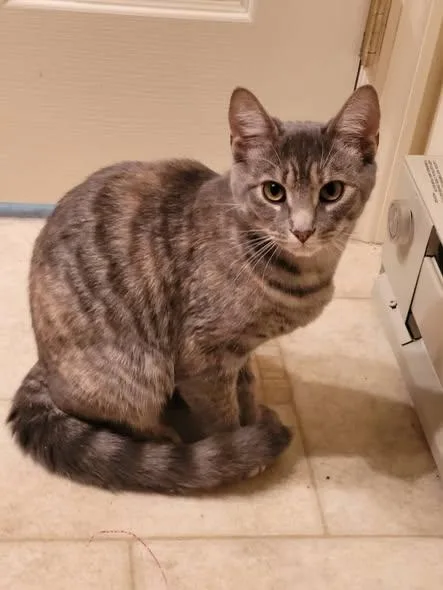 Dusty  River & thumbnail 2