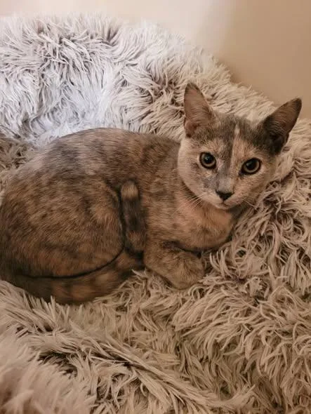 Dusty  River & thumbnail 3