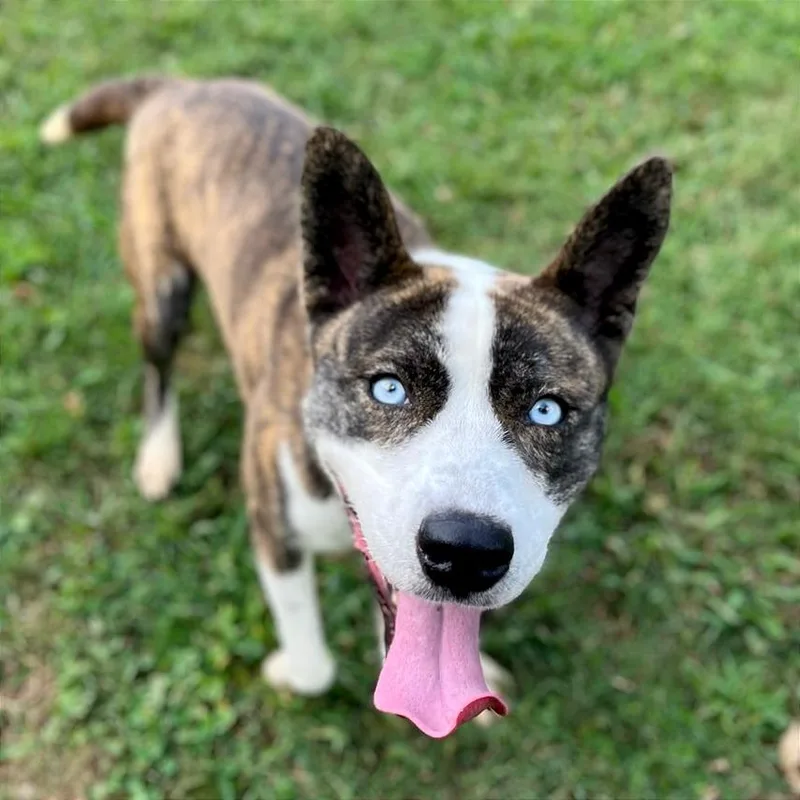 Princess Mindy thumbnail 2