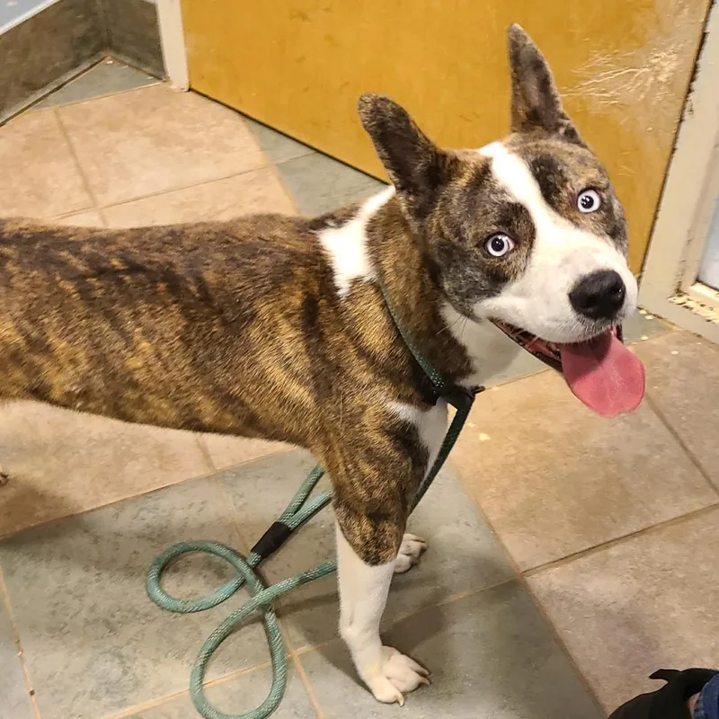 Princess Mindy thumbnail 3