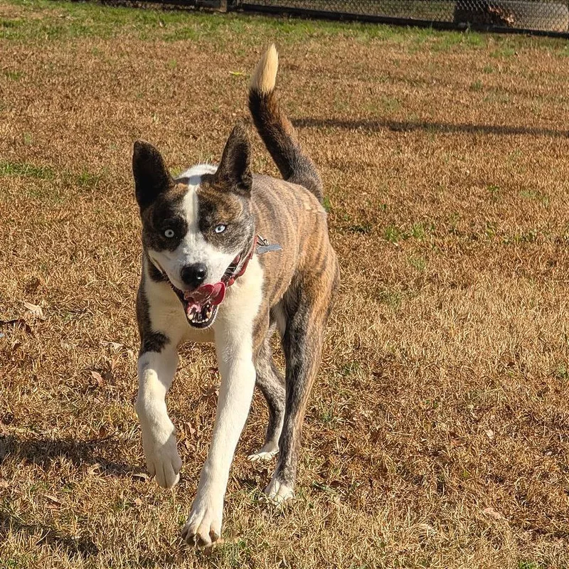 Princess Mindy thumbnail 4