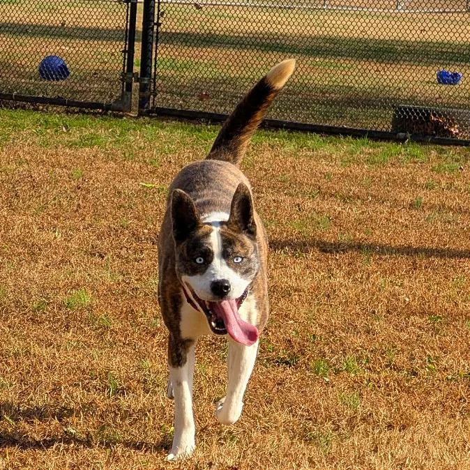 Princess Mindy thumbnail 5