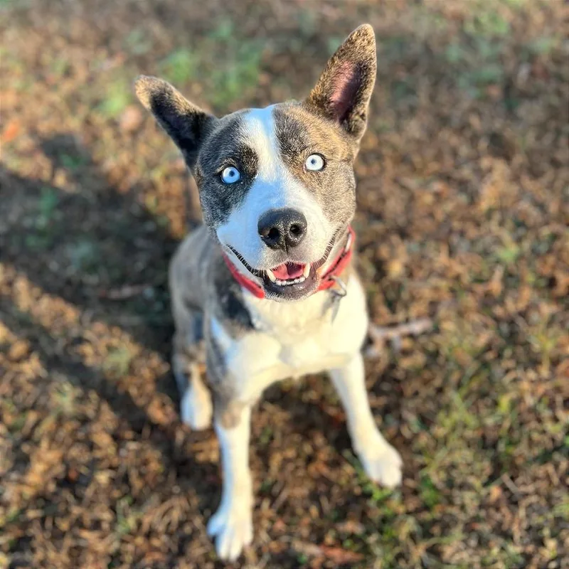 Princess Mindy thumbnail 6