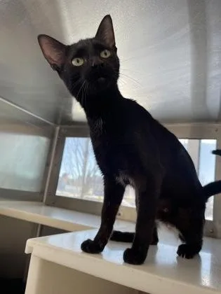 Lady Bird thumbnail 2