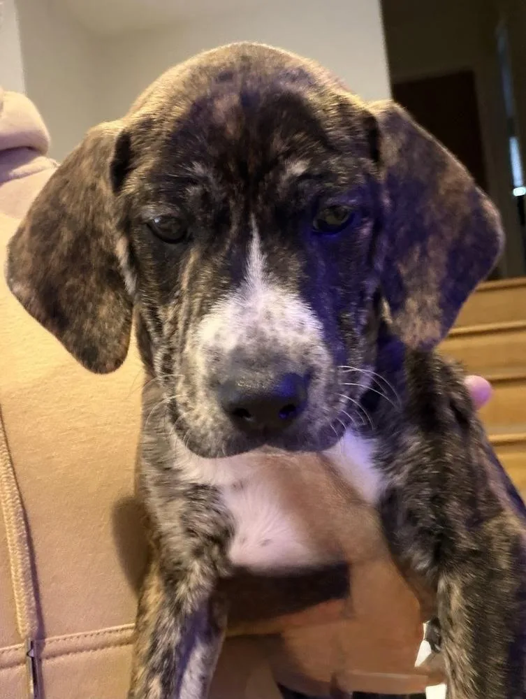 Bootstrap thumbnail 3