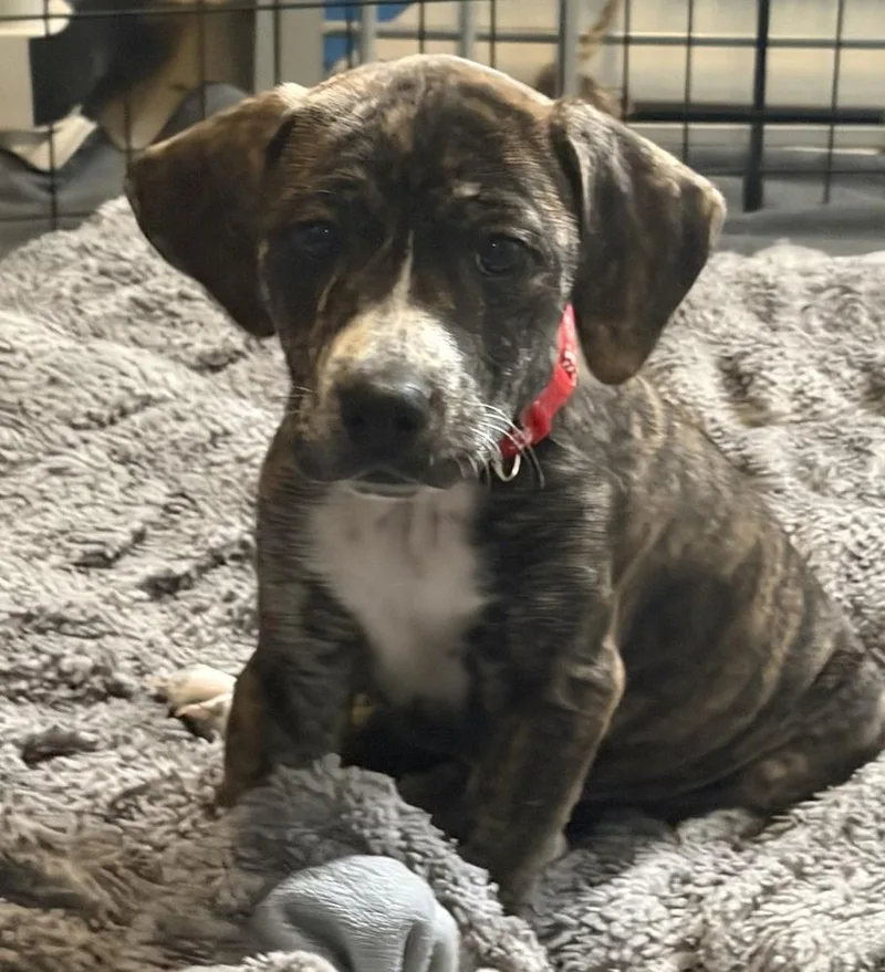 Bootstrap thumbnail 5