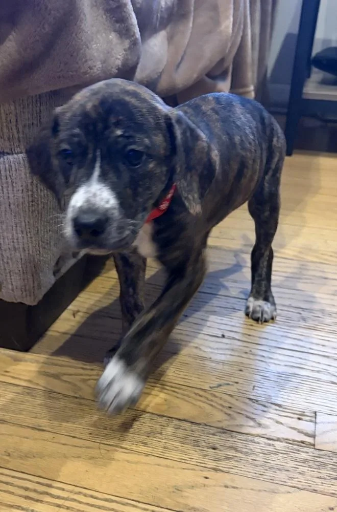 Bootstrap thumbnail 6