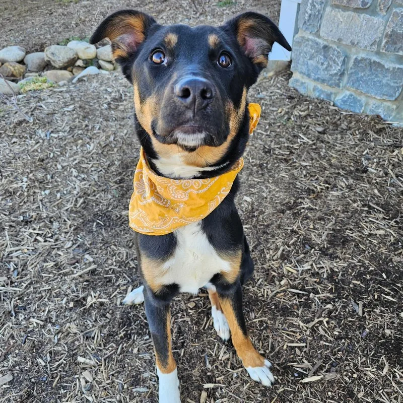 Washington thumbnail 2