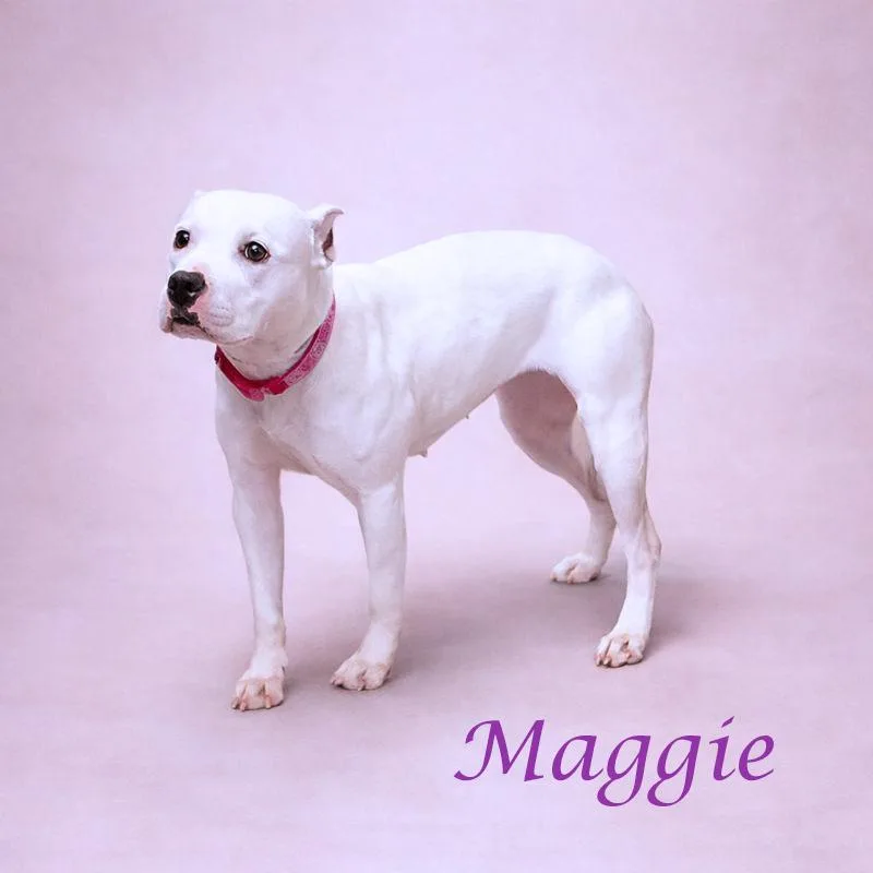 Maggie D thumbnail 2