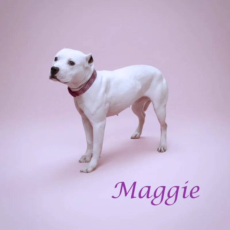 Maggie D thumbnail 4