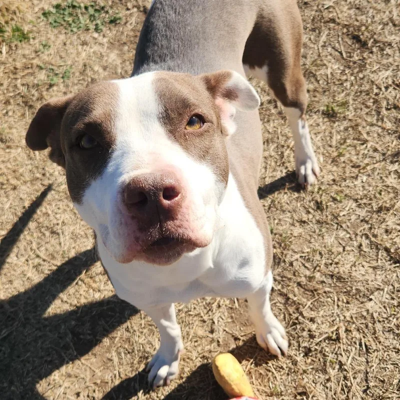 Millicent thumbnail 2