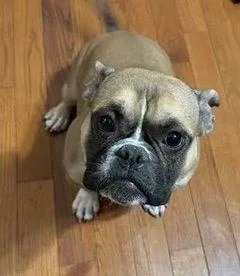 Kali And Bluey Bonded photo 1