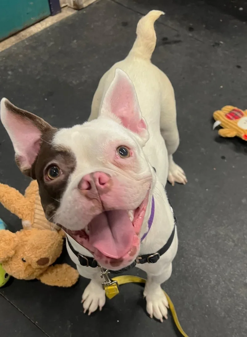 Thumbelinasuch A Funny Character!