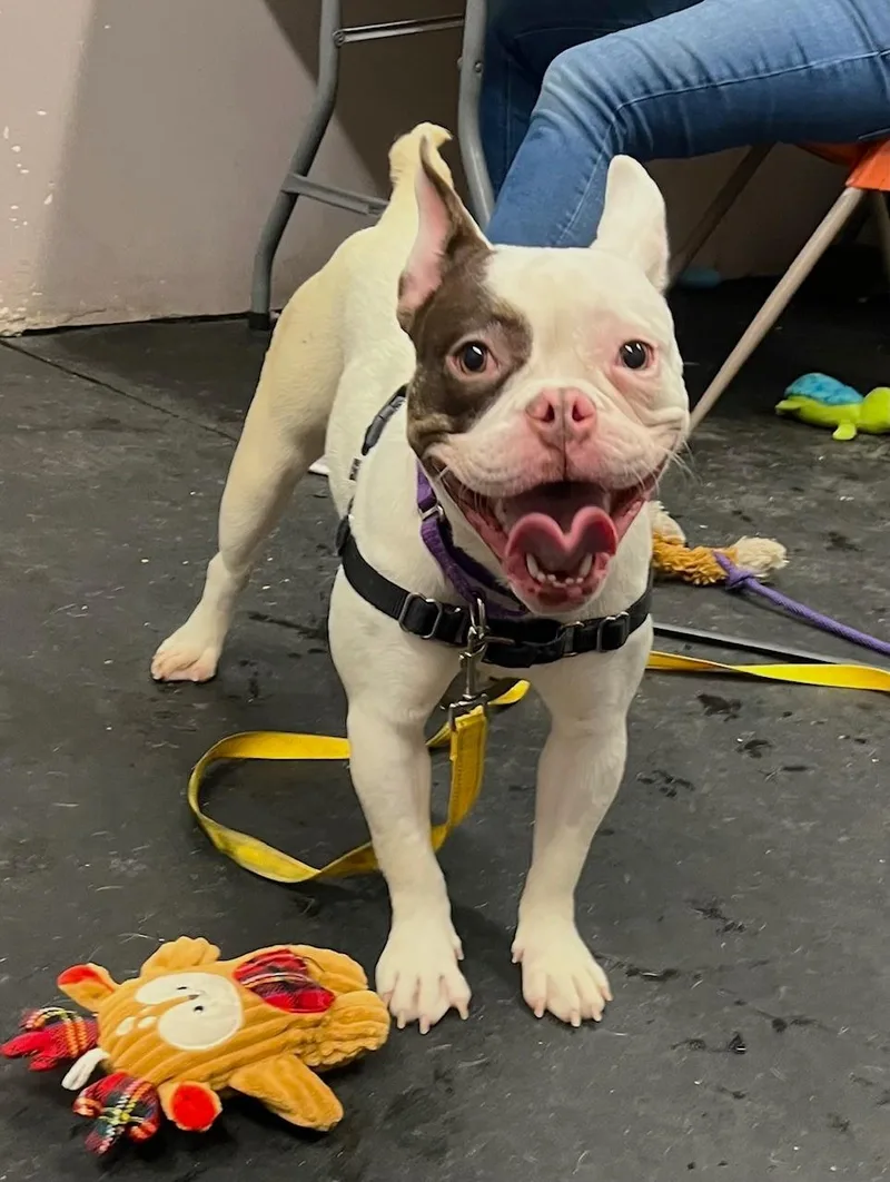 Thumbelinasuch A Funny Character! thumbnail 2