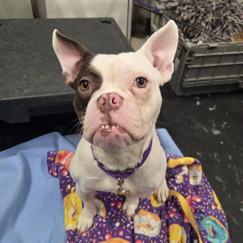 Thumbelinasuch A Funny Character! thumbnail 3