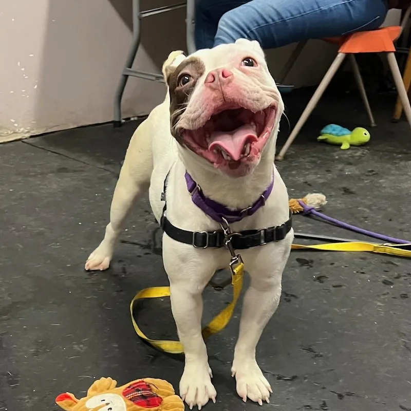 Thumbelinasuch A Funny Character! thumbnail 4