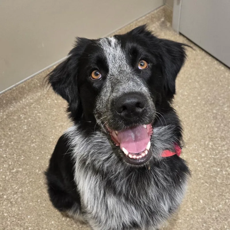 Ophelia Dupont thumbnail 6