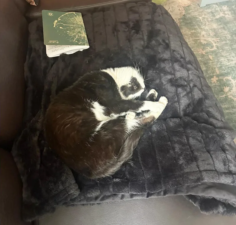 Nora Otter thumbnail 2