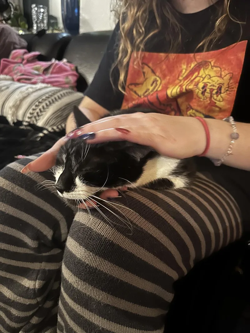 Nora Otter thumbnail 3