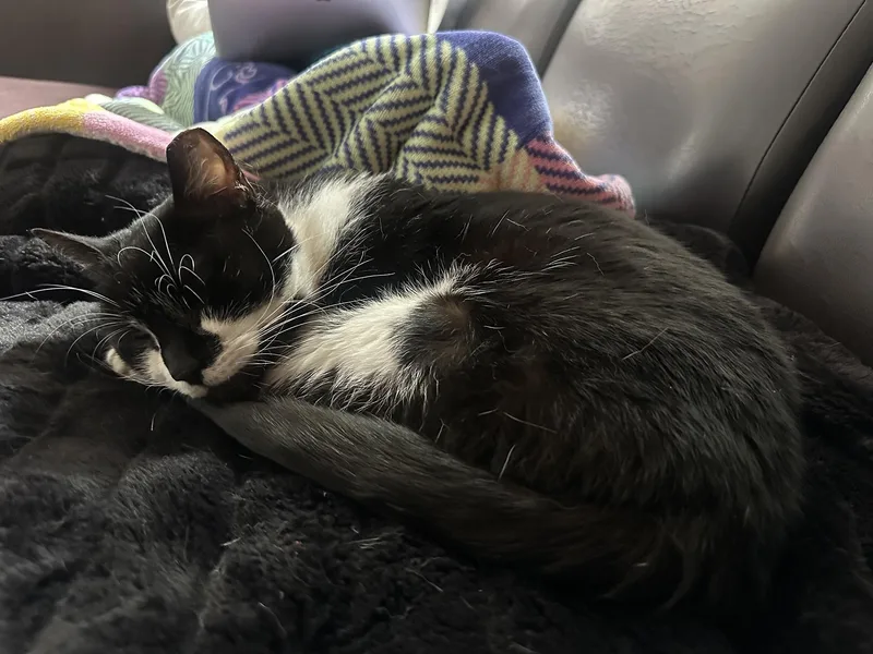 Nora Otter thumbnail 4