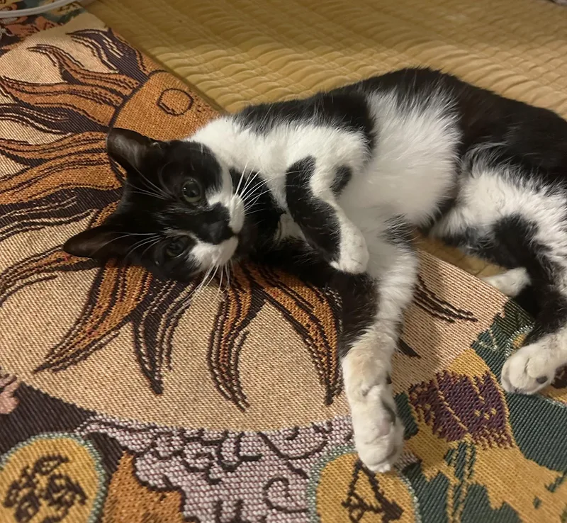 Nora Otter thumbnail 5